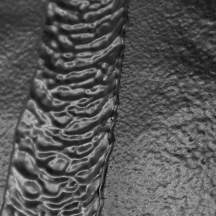 Anti-gravillons et mastic spray – APP U300 UBS 1 L