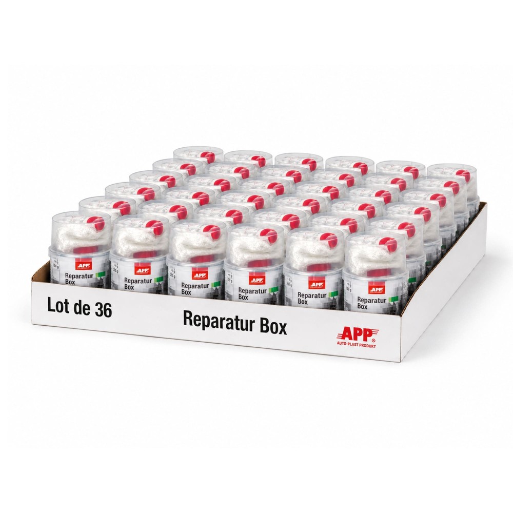 Lot de Kit de reparation APP Reparatur Box - Résine polyester avec tissu de verre 0,25 kg