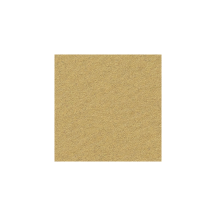 Disque abrasif pour ponceuse NTools HMF 7 150mm avec 15 Trous 10 pièces